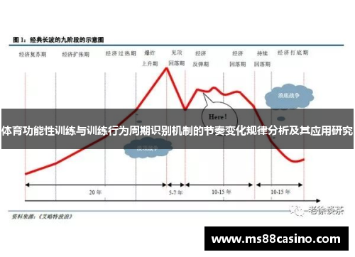 体育功能性训练与训练行为周期识别机制的节奏变化规律分析及其应用研究